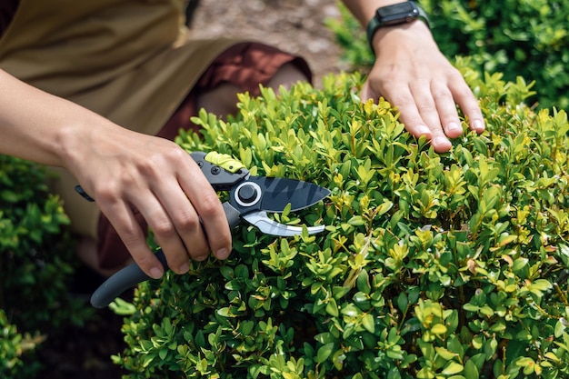 Young womangardener with garden scissors in hand standing in front of garden house