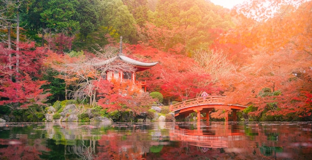 Young women wearing Kimono at Daigo-ji temple with colorful maple trees in autumn