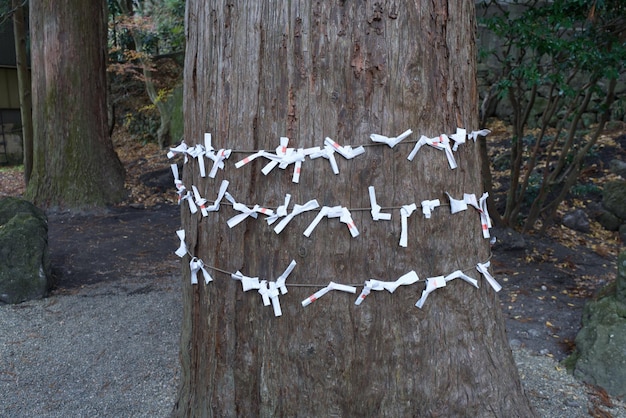 Yufuin Japan December 9 2022 Winter in Tenso shrine Siamese leaves tied around a big tree