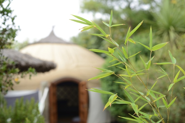 Yurt dsenfocada with bamboo different travel concept