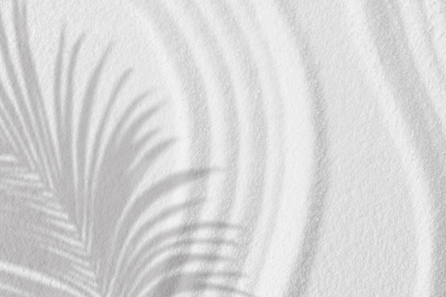 Zen gardenSand texture with palm leaves shadow on spiritual patternJapanese Zen style of white sand surface with coconut leaf shadow on line wave HarmonyMeditationZen like conceptSimplicity Day