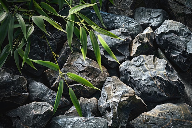 ZenInspired Still Life with Basalt Stones and Bamboo Leaves