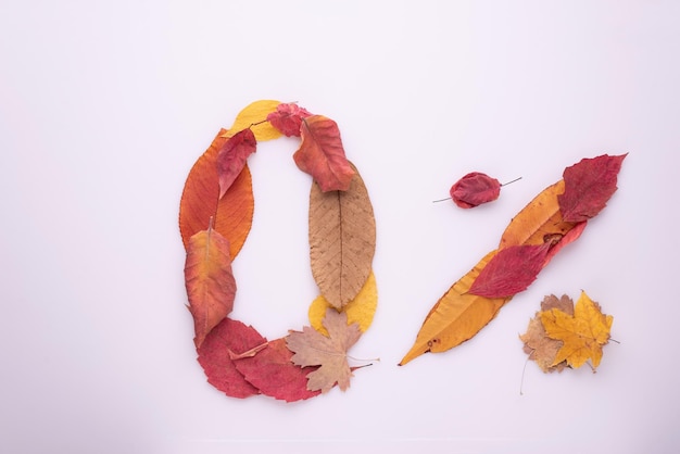 Zero percent made from autumn leaves on white background