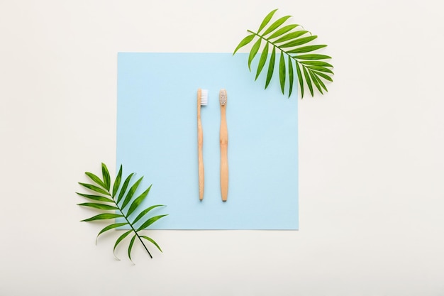 Zero waste beauty body care items Toothbrush in sustainable lifestyle