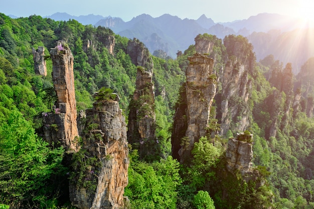 Zhangjiajie mountains, China