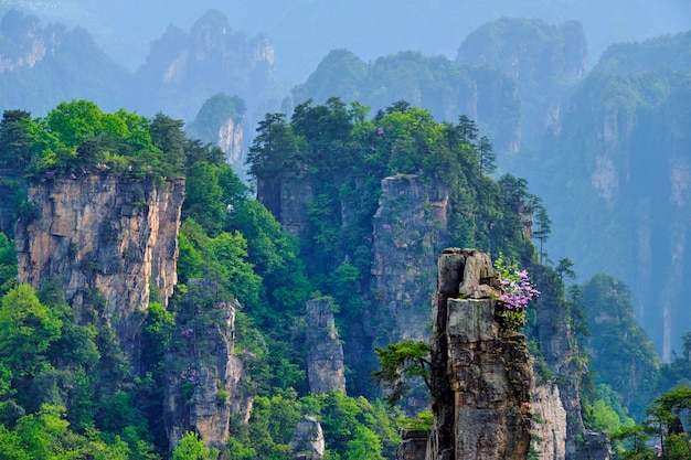 Zhangjiajie mountains, China