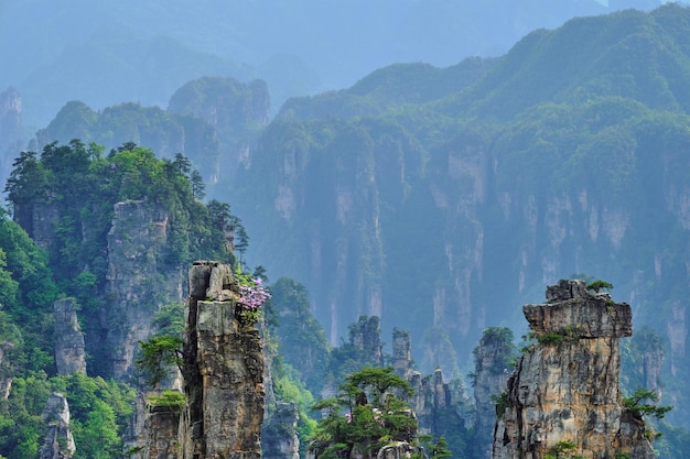 Zhangjiajie mountains china