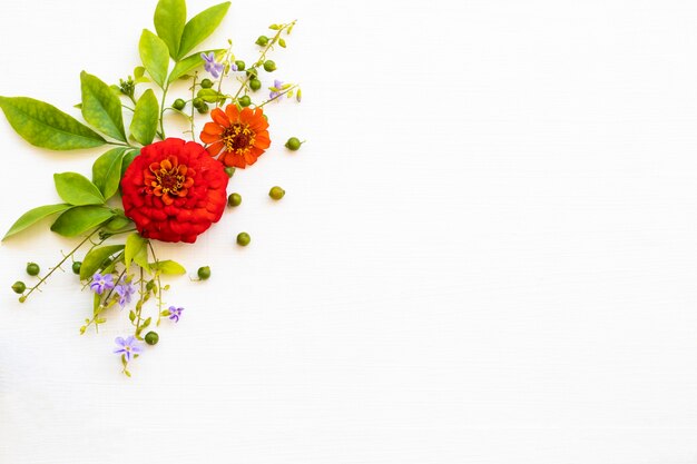 zinnia elegans flowers arrangement postcard style