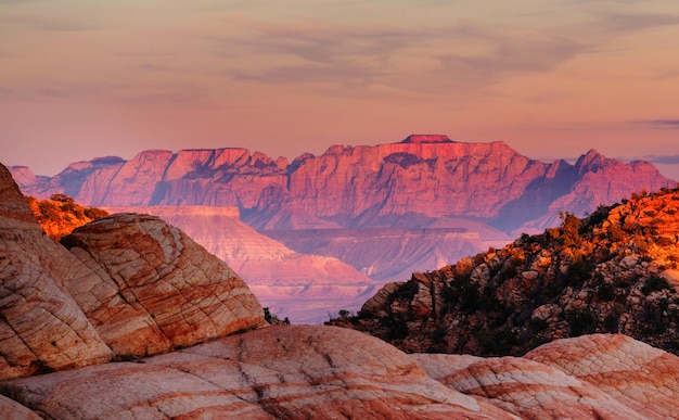 Zion National Park. Beautiful unspiring natural landscapes.