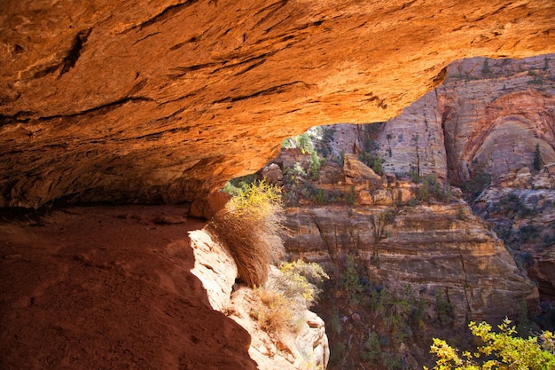 Zion National Park Scenic Landscapes USA Arizona