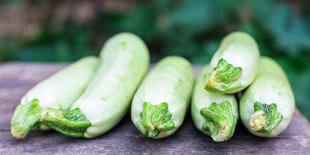 zucchini fruits fresh harvest food