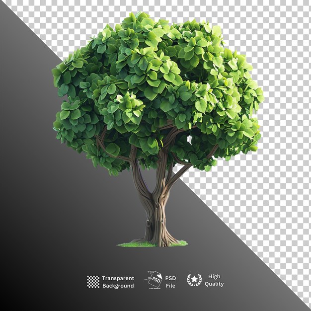 PSD 01 tree 21