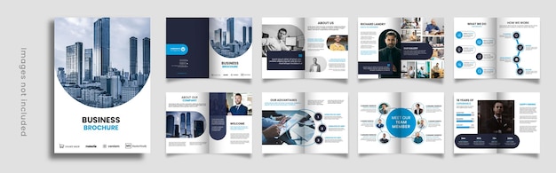 16 Pages company profile brochure