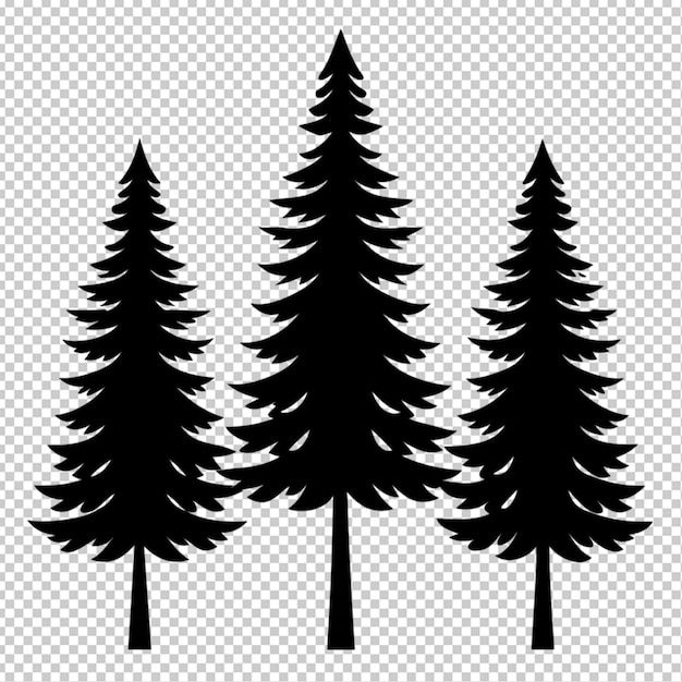 3 black pine trees together transparent background