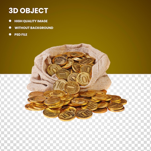 3d Bag Gold coin