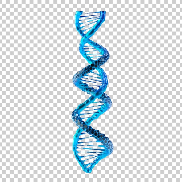 3d blue DNA helix sequence element isolated on a transparent background