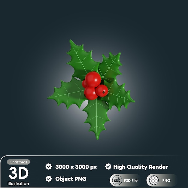 3d Christmas Mistletoe