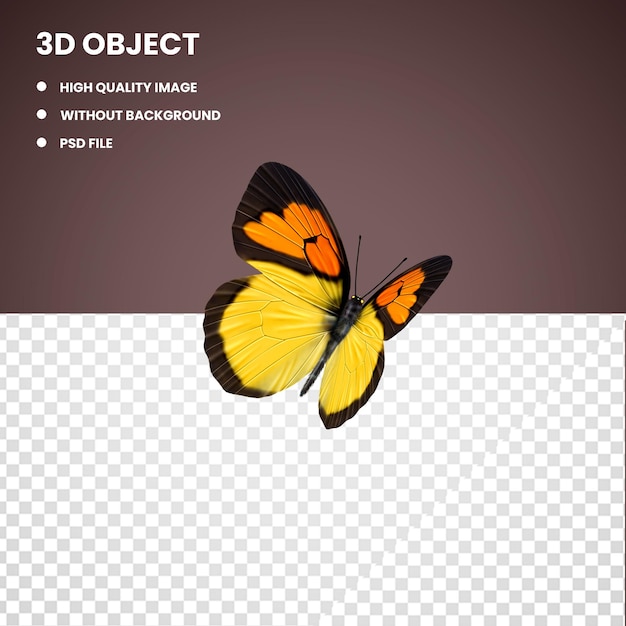 3d Cute butterfly