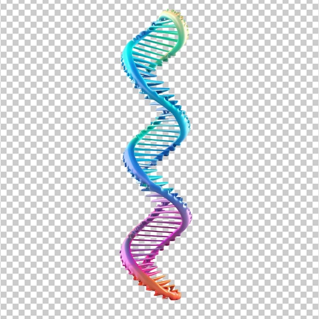 3D DNA Strand on white background