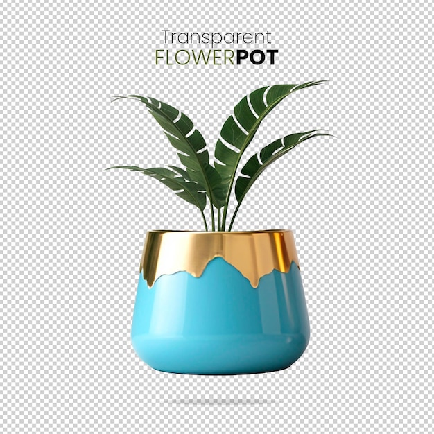 3D Glossy Golden Blue Flowerpot with Strelitzia nicolai Plant on Transparent Background