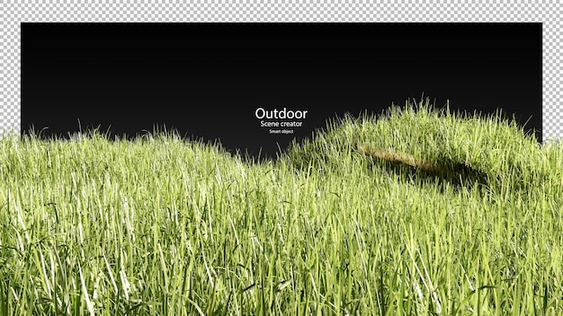 3d grass field isolated