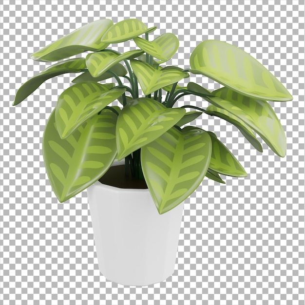 3D Icon House Plant