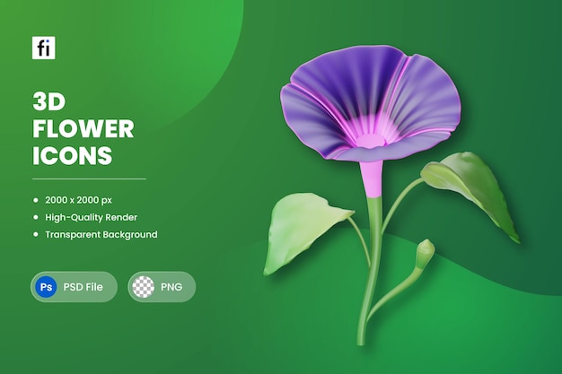 3D illustration Flower Morning Glory