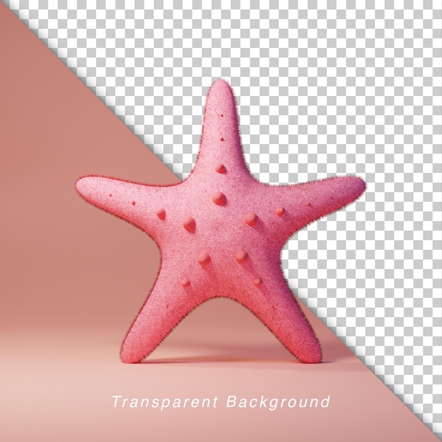 3D illustration Starfish front view summer season