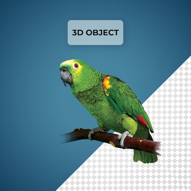 PSD a 3d image of a parakeet with a picture of a parrot on it