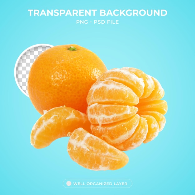 3d Mandarin orange Tangerine