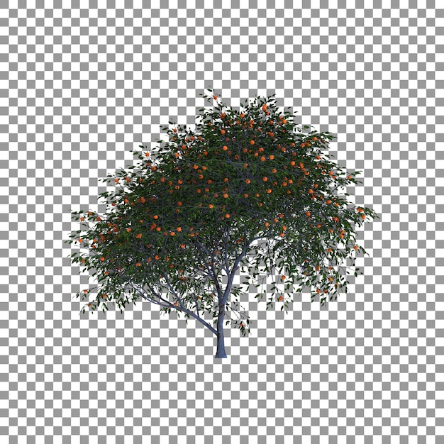 3d mandarin oranges tree isolated on transparent background