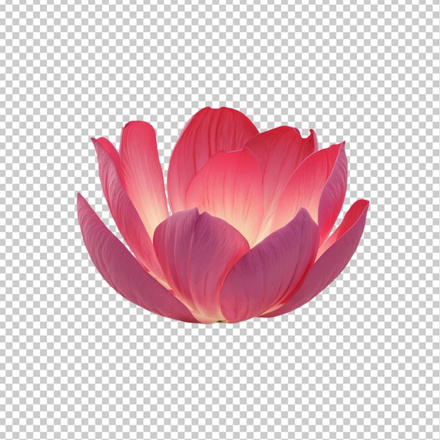 3d pink flower isolated on transparent background