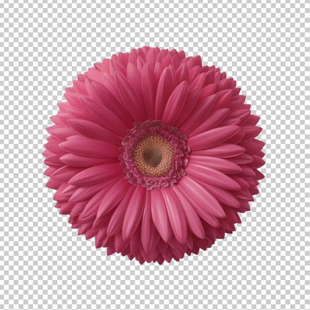 3d pink flower isolated on transparent background