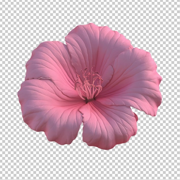 3d pink flower isolated on transparent background