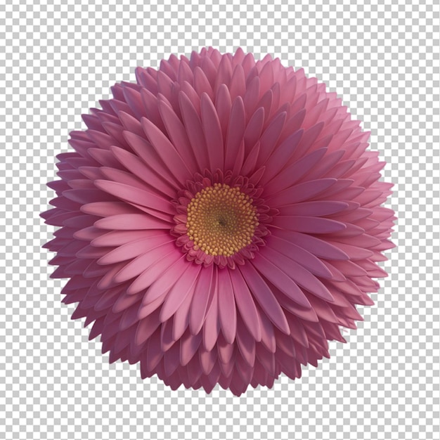 3d pink flower isolated on transparent background