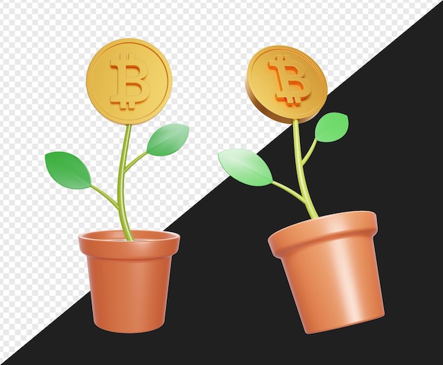 3d realistic potted plant with bitcoin gold isolated