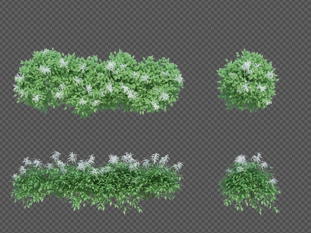 3d Render Brush Tree Isolated on white