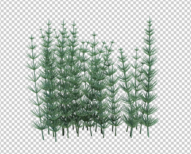 3d Render Brush Tree Isolated  on white