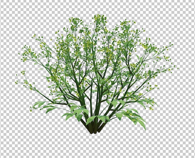 3d render brush tree isolated