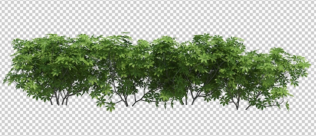 3d Render Brush Tree Isolated