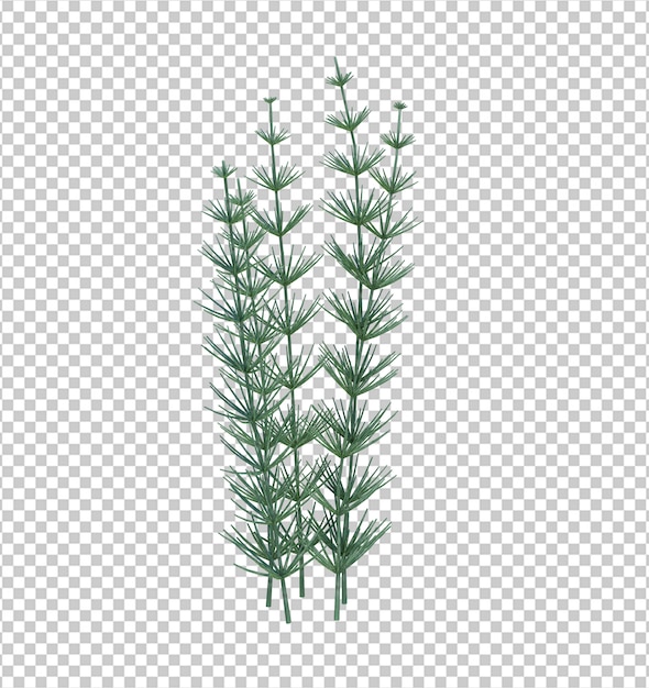 3d Render Brush Tree Isolated