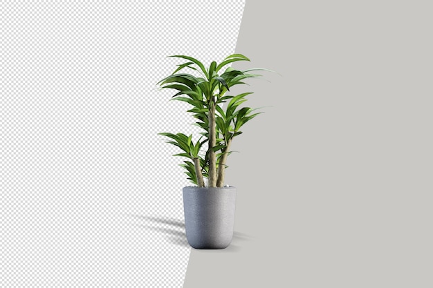 3d render brush tree isolated