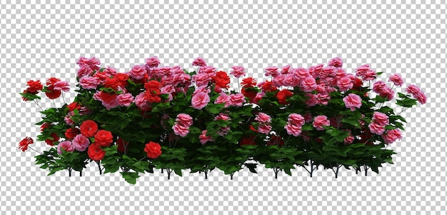 3d Render of Brush Tree with Flowers Isolated  