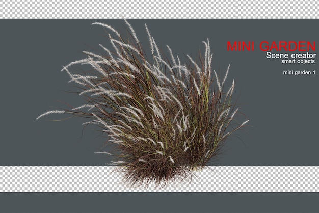 PSD 3d render of grass flowing in the wind