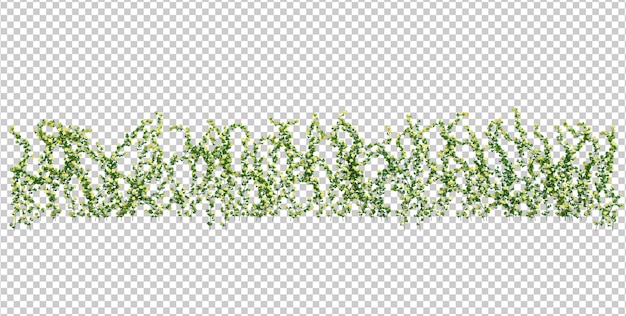 3d Render Ivy Plants Isolated