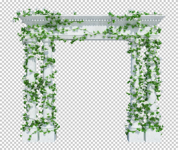 3d Render Ivy Plants Isolated 