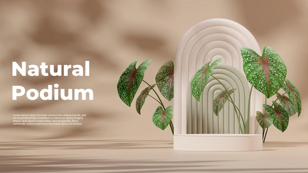 3D render template white podium in landscape with green arch backdrop and pink green calathea