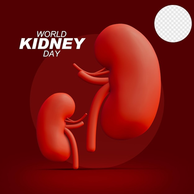 3D Rendered World Kidney Day Social Media Square Template with Transparent Background