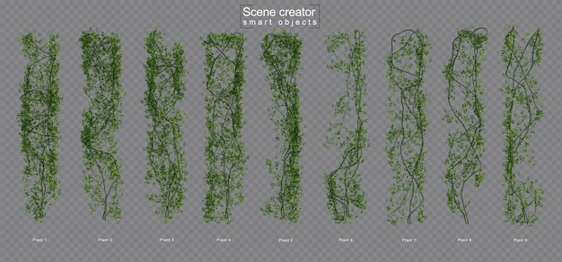 3d rendering of akebia tree scene creator