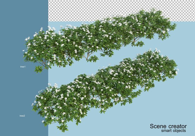 3D rendering of  arrangement of trees and flowers